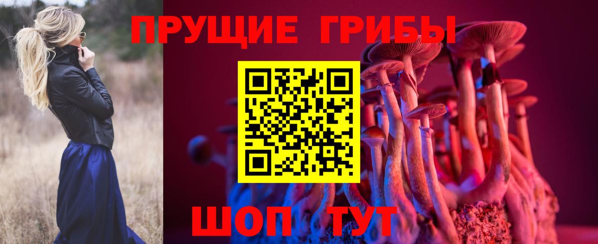 Псилоцибиновые грибы Psilocybe  Псилоцибиновые грибы мицелий  Костомукша  Вход с VPN 